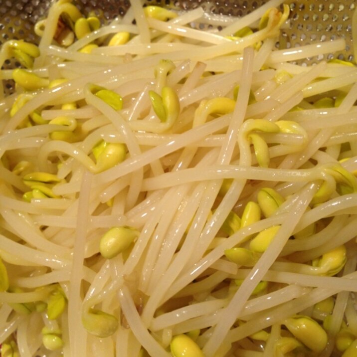 豆もやしの茹で方 レシピ 作り方 By Ete6294 楽天レシピ 豆もやしの茹で方 レシピ 作り方 By Ete6294 楽天レシピ